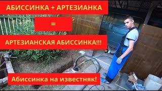 видео: Такого еще было! Абиссинка на известняк! There was still such a thing! Abyssinian on limestone! картинка: Такого еще было! Абиссинка на известняк! There was still such a thing! Abyssinian on limestone!