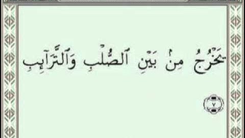 The Holy Quran سورة 86 الطارق