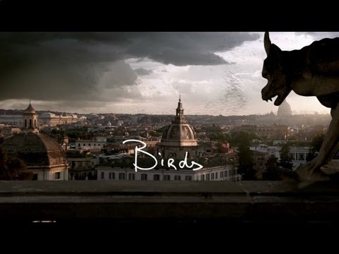 Anouk - Birds