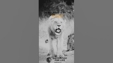 What is the SECRET to Persistence?#motivation