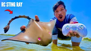 RC Realistic High Speed Sting Ray Shark Whale Collection Unboxing & Testing - Chatpat toy tv