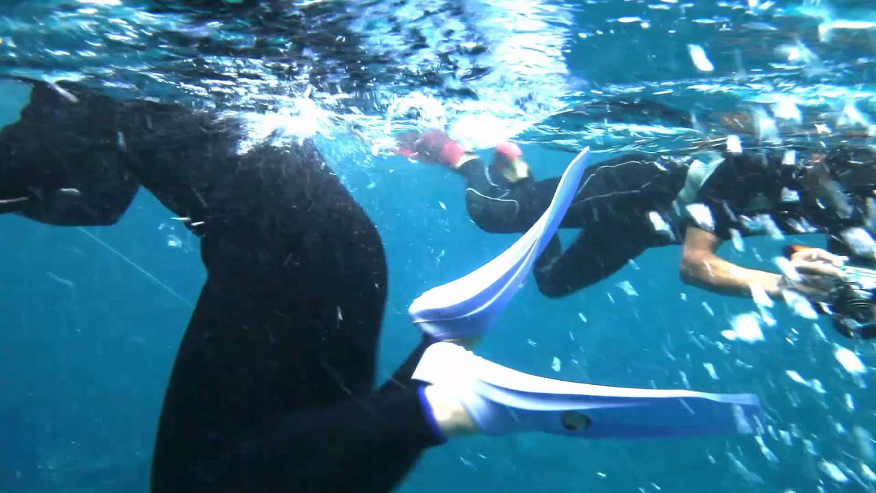 神井 護 旅 神井 護 旅