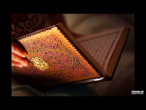 AlFath سورة الفتح بصوت القارئ الشيخ الزين محمد أحمد