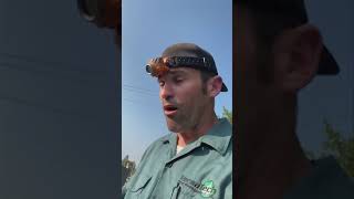 Commercial Rat Exterminator, Rodent Infestation & Exclusion Service in Los Angeles County