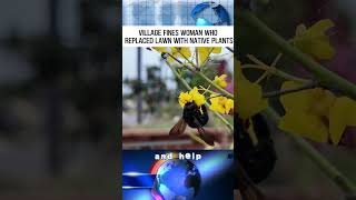 Village fines woman who replaced lawn with native plants