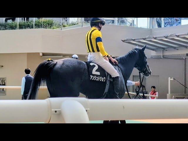 競馬】 驚き！ 3歳未勝利 (2025.05.24・東京5R) 2025 / シュネル