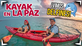 La Paz Baja California KAYAK Tour  We saw Dolphins ► 1 DAY Guide in La PAZ ✅ Sin Postal