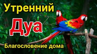 утренний дуа. Благословение дома