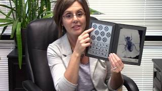 How We Decrease Lens Prescription & Improve Depth Perception