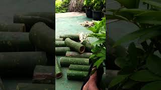 #new natural vibes work at life story lovely eanjoii feelings…..