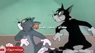 يا ناس شفت بنيه على باب الكليه