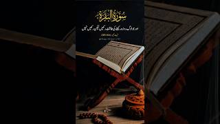 Surah Al-baqarah Ayat Number 183-184|Quran Majeed recitation|WhatsApp status #quran #ramadan #viral
