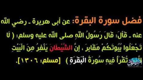 قراءة سورة البقرة في البيت لطرد الجن الشيخ سليمان الرحيلي حفظه •اللّـہ̣̥