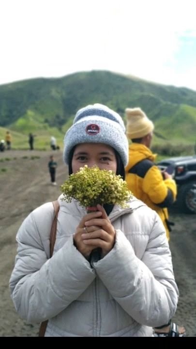 BUNGA EDELWEISS #videoshort #edelweiss #bromo #bungalangka