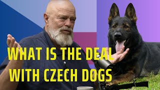 What Is The Deal With Czech Dogs