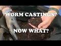 3 Easy Ways to Sift, Store & Use Compost Worm Castings From Your Worm Bins | Vermicompost Worm Farm