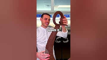 My parents blew my college fund on my twin brother