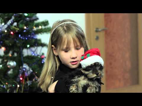 Schneeflöckchen Weißröckchen