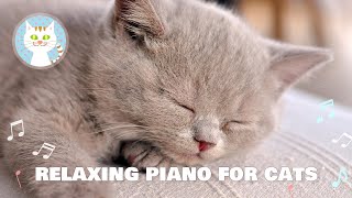 Music for cats to relieve separation anxiety of cats Quiet piano (with cat rumbling sounds) .