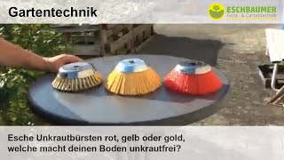 Esche Unkrautbürsten rot, gelb oder gold, welche macht deinen Boden unkrautfrei?