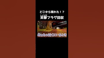 【APEX LEGENDS】こんなことある！？見事までなフラグ回収www #shorts  #apex #apexlegends