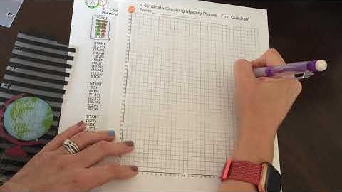 Pink cat studio coordinate graphing mystery picture