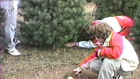 Xmas Tree Hunting (Tim Ervin)