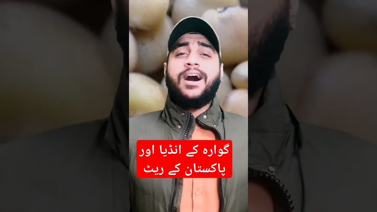 Guarseed prices in Pakistan & Indian markets today