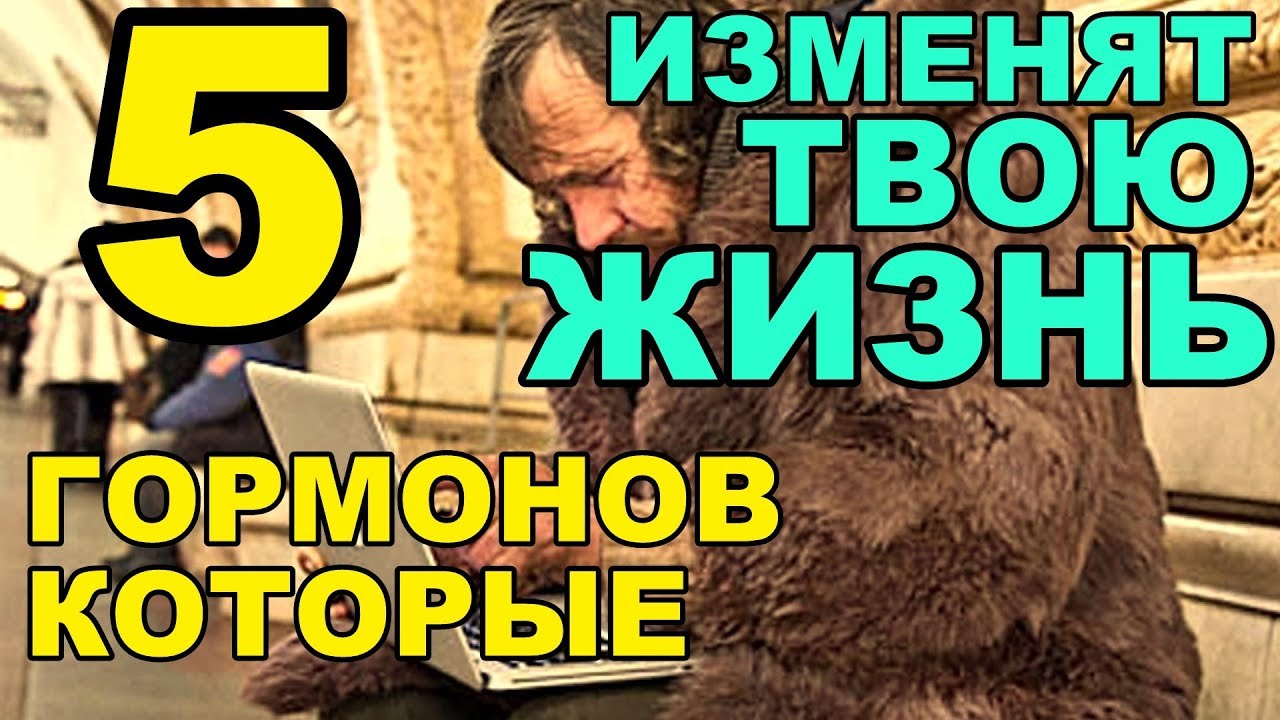 КАКИЕ ГОРМОНЫ ЗА ЧТО ОТВЕЧАЮТ, КАК ИХ ВЫРАБОТАТЬ / ХОРОШЕГО НАСТРОЕНИЯ ...