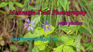 Mountain Trail Photography in the Blue Ridge Mountains, with some photos.