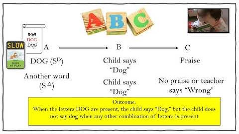 Generalization Overview