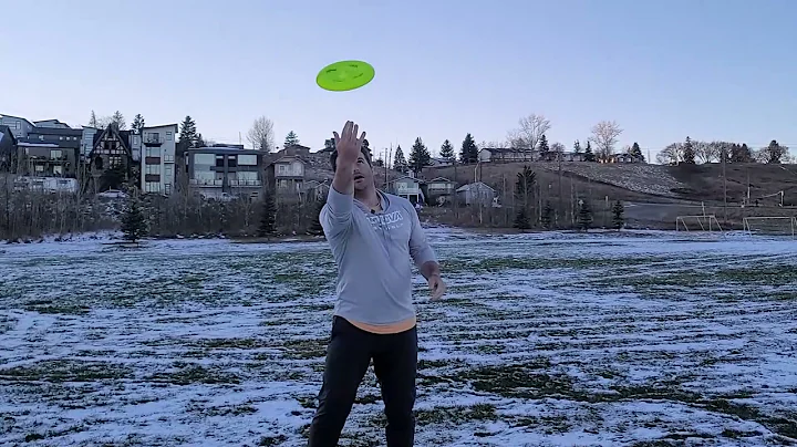Getting Started with an XDISC