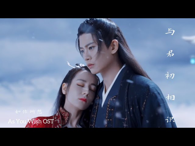 The Blue Whisper 与君初相识 【MV OST】As You Wish 如你所想《Mao Bu Yi》 class=