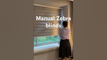 Blackout manual zebra blinds #blinds #curtains