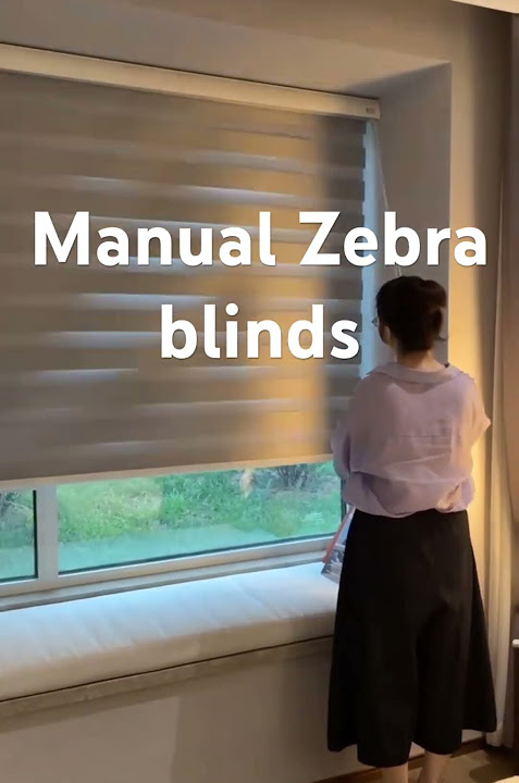 Blackout manual zebra blinds #blinds #curtains