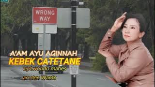 LAGU TARLING TERBARU 2022 // A'AM AYU AGINNAH - KEBEK CATETANE