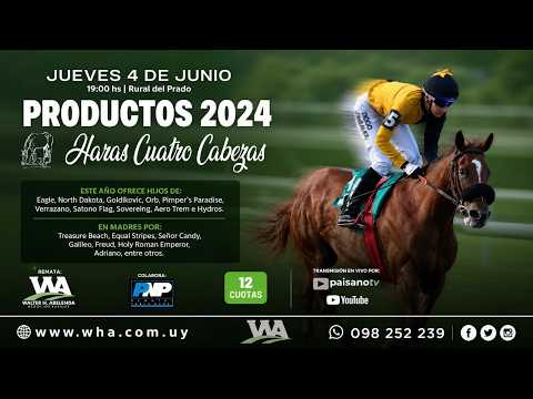 04-06-26 HARAS CUATRO CABEZAS