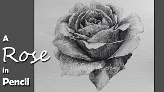 Watch step by work of pencil strokes & shading.
..........................................................................
sunday- watercolor tut...