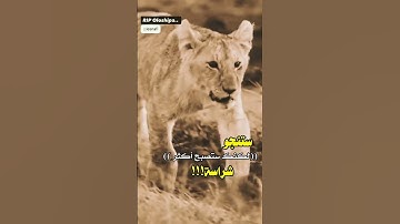 ستنجو#قرآن​#قران_كريم​#لايك#القرآن​#سورة_البقرة​#آيات​ #تلاوة_خاشعة​#تلاوة​#quran#quran_kareem​#دعاء