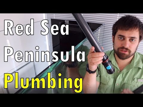 Red Sea Reefer Peninsula 650 Stand And Plumbing Part Ii Youtube Red Sea Reefer Peninsula 650 Stand And Plumbing Part Ii Youtube