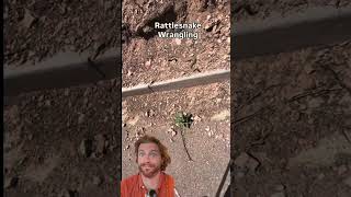 Cowboy Wranglers Rattlesnake! #wildlife #conservation #snake #outdoors