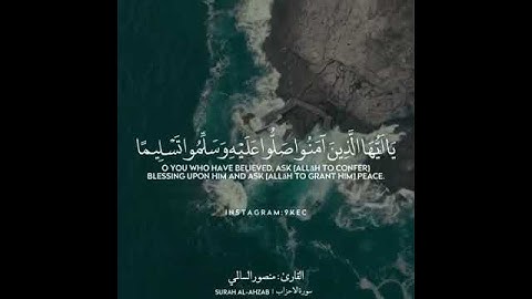 تلاوة خاشعة حالات واتساب سورة الأحزاب 🌹🕊️