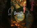 Al Quran ayat translation in Urdu #youtubeshorts