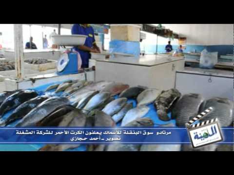 مطالبات بإنهاء عقد الشركة المشغلة لسوق السمك بجدة