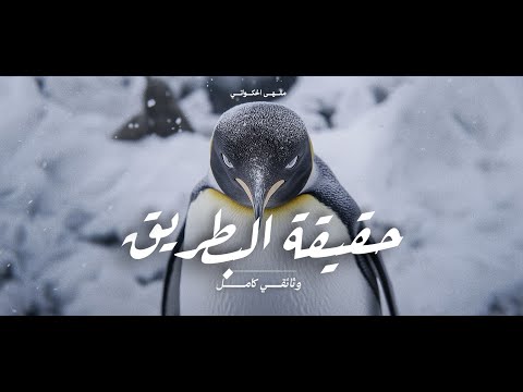 أسرار عالم البطريق كاملة أغرب طائر في العالم وثائقي