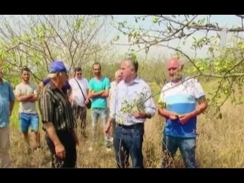 დავით ბაქრაძე სოფელ ზეღულეთის მცხოვრებლებს შეხვდა