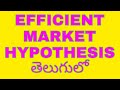 మార్కెట్ హైపోతిసిస్: తెలుగు వివరణ 📈