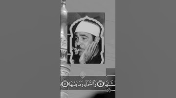 سورة الشمس/الشيخ احمد الرزيقي