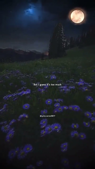 Stay Alive by Jung kook Bts #lyrics #lyrics_whatsapp_status #stayalive #jungkook #bts #youtube