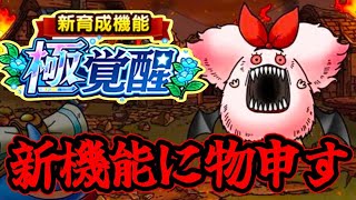 【極覚醒】5周年新機能について思うこと
